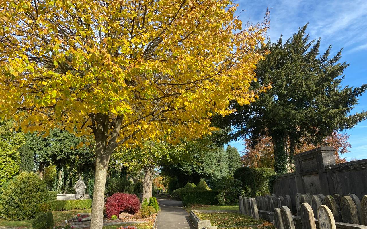Friedhof Lennep im Herbst