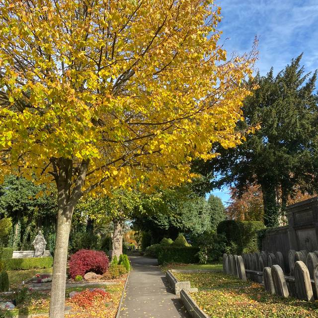 Friedhof Lennep im Herbst