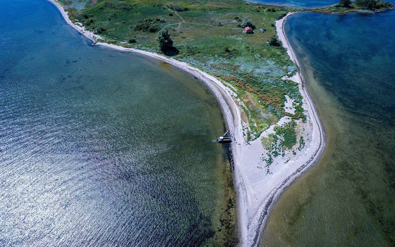 Ziegen ziehen auf Boot zur Insel Walfisch um