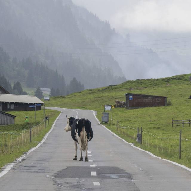 Schweiz - Klausenpass