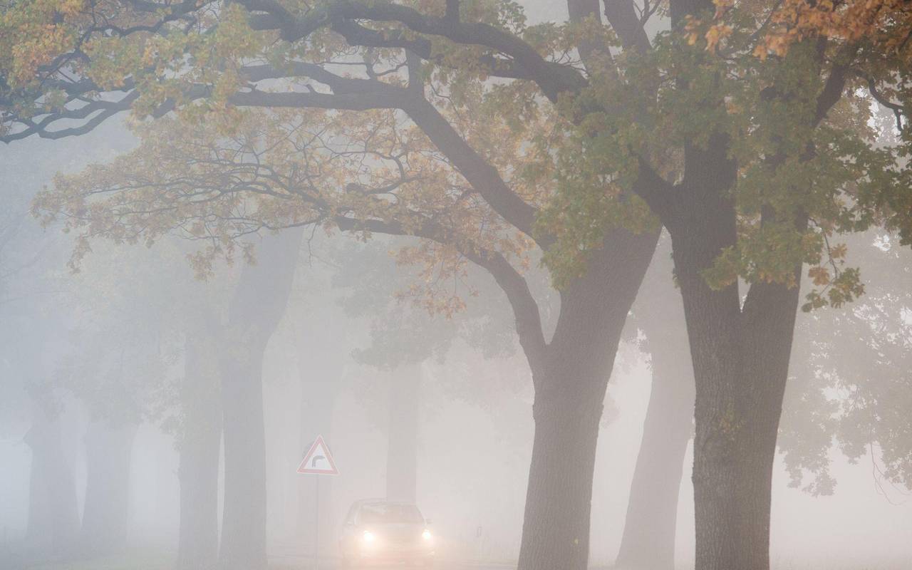 Auto fährt bei Nebel auf einer Landstraße