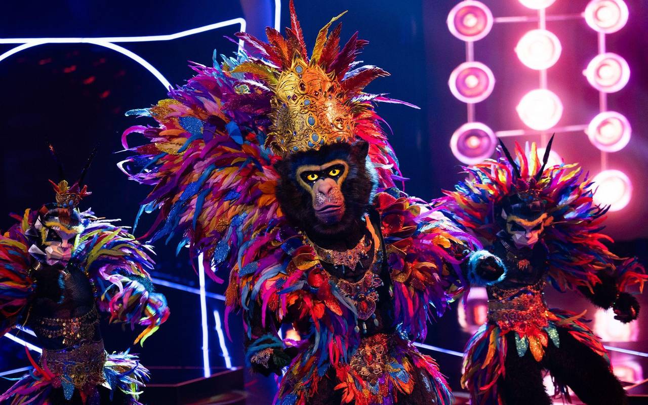 „The Masked Singer“