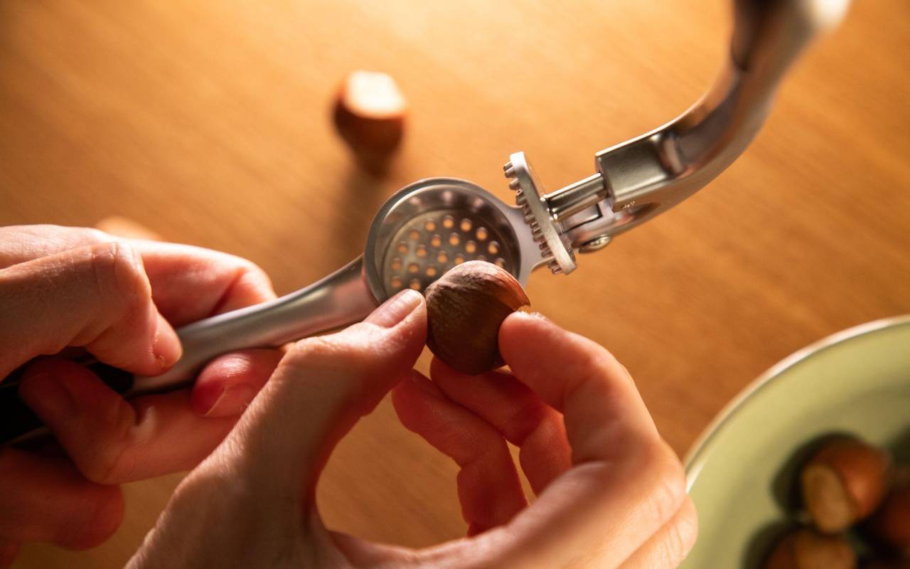 Haselnuss wird in die Knoblauchpresse gelegt