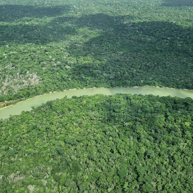 Überflug über das Amazonasgebiet