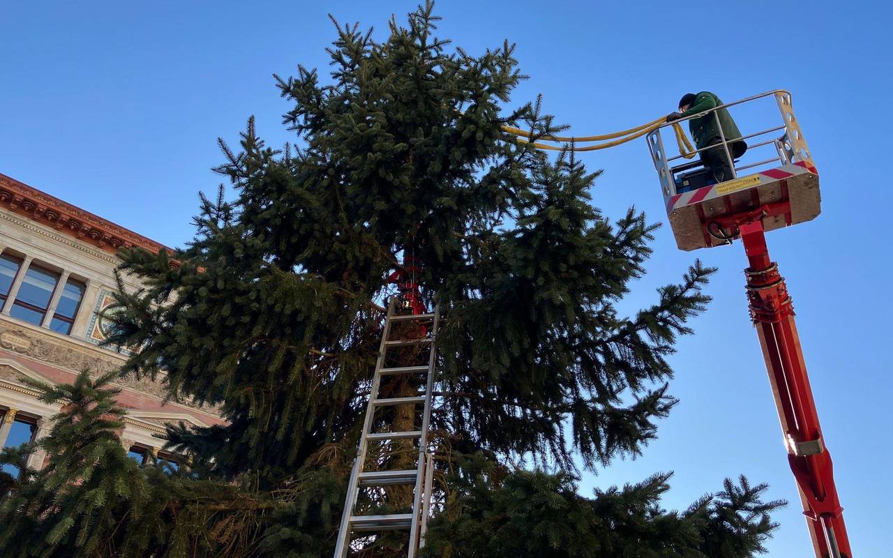 Weihnachtsbaum vor dem Abgeordnetenhaus aufgestellt