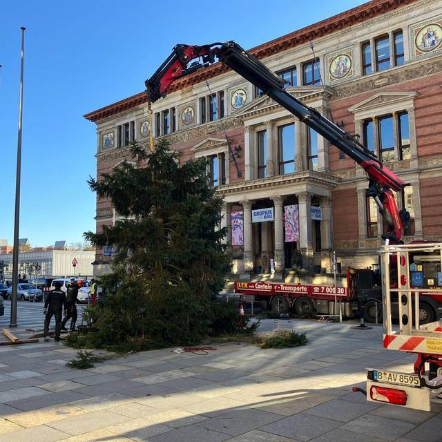 Weihnachtsbaum vor dem Abgeordnetenhaus aufgestellt