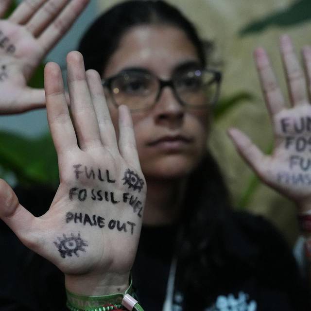 Weltklimakonferenz COP30