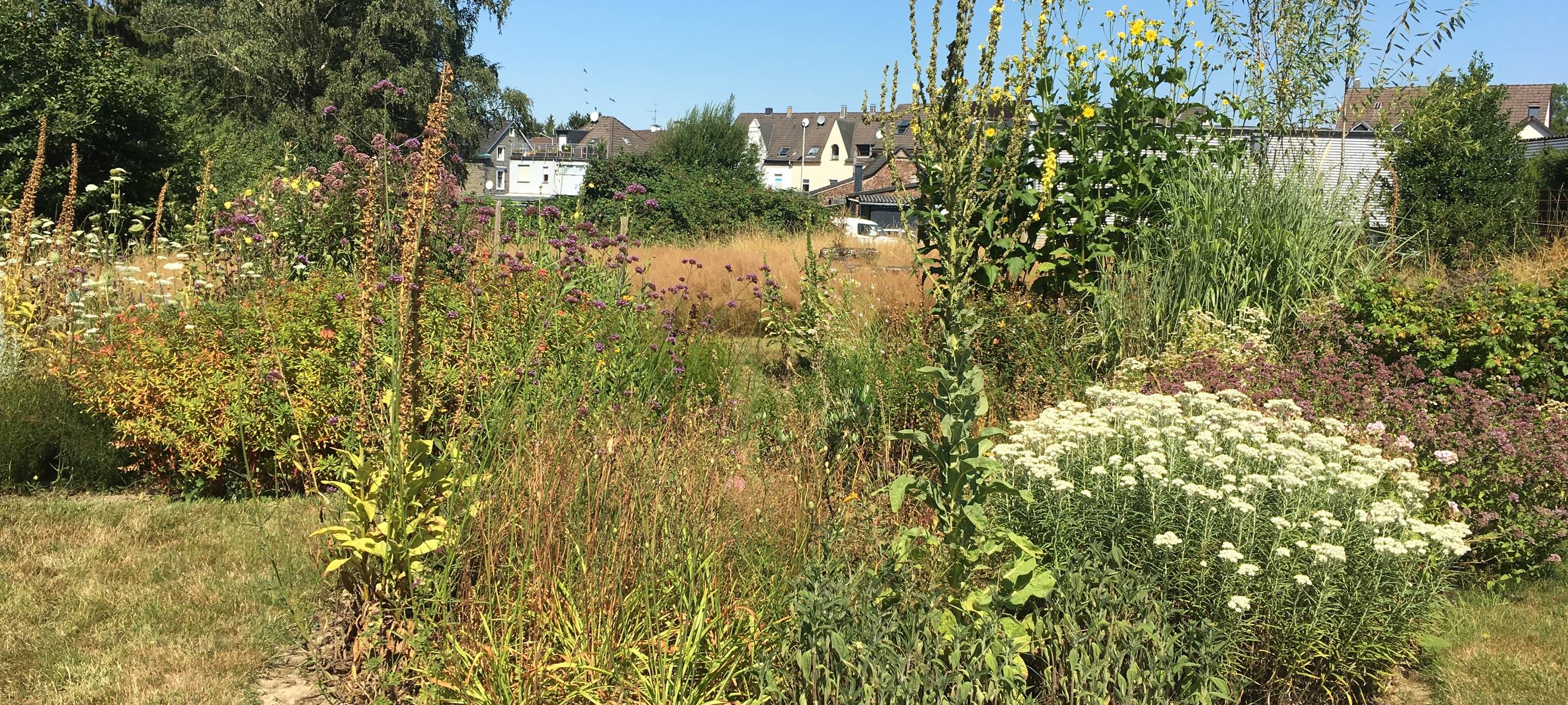 RSG Tipps für Dienstag, 3. März