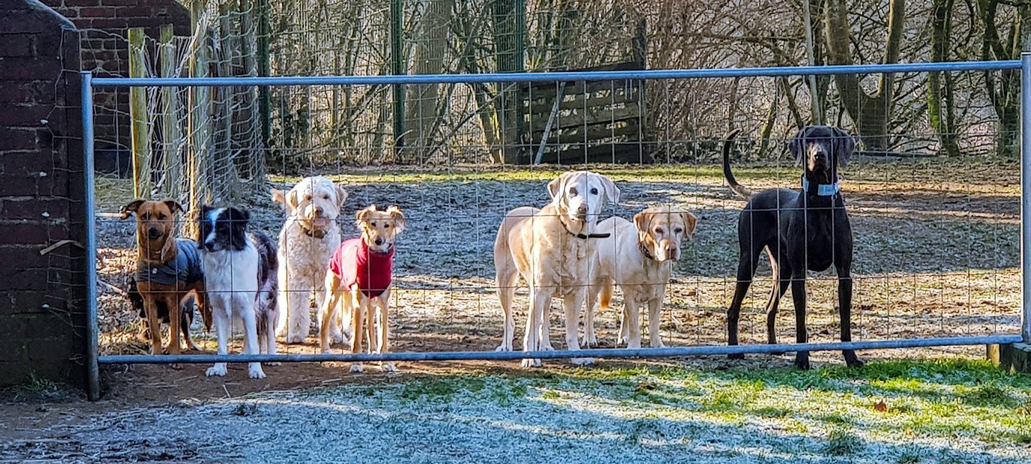 Ein neues Zuhause für die HuTa