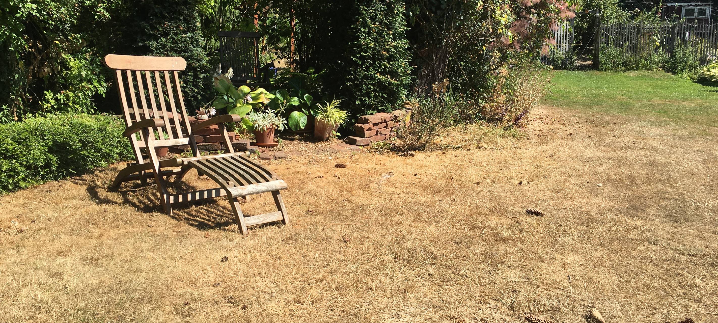 Schloss Grünewald: GartenLeben Festival startet