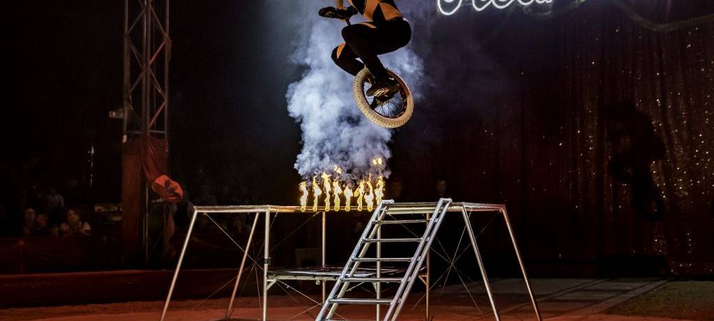 Weihnachtscircus bringt die "Next Generation" nach Remscheid