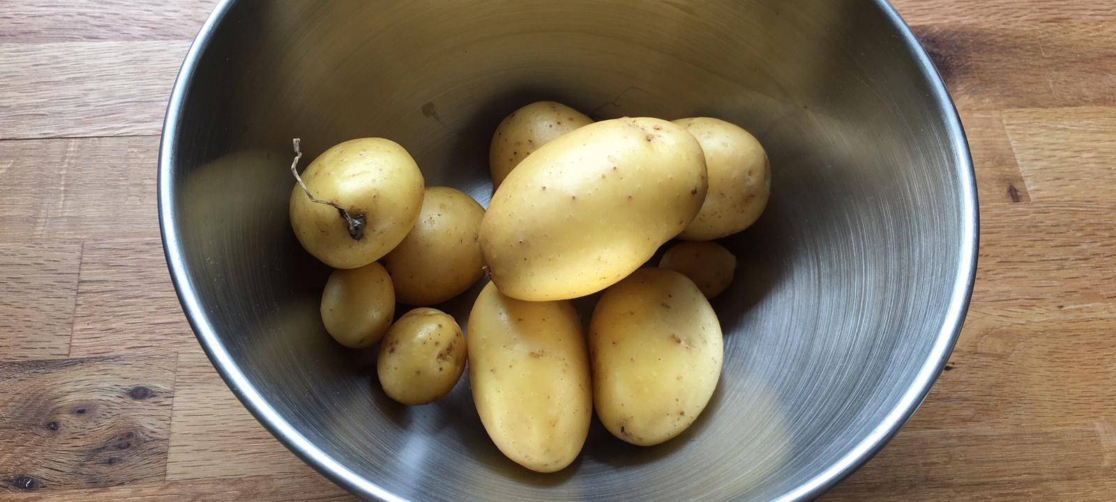 Kartoffelernte und Wildrose