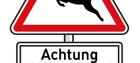 Polizei warnt vor Wildwechsel auf den Straßen