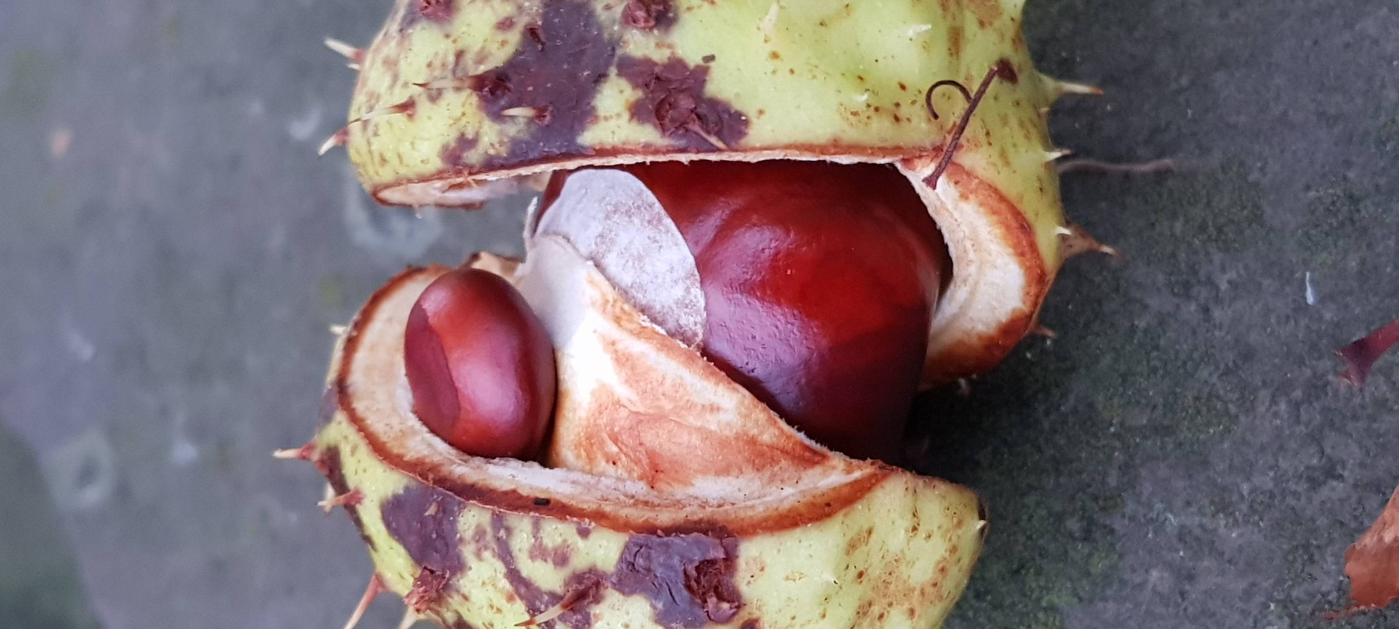 RSG-Tipps für Donnerstag, 3. Oktober