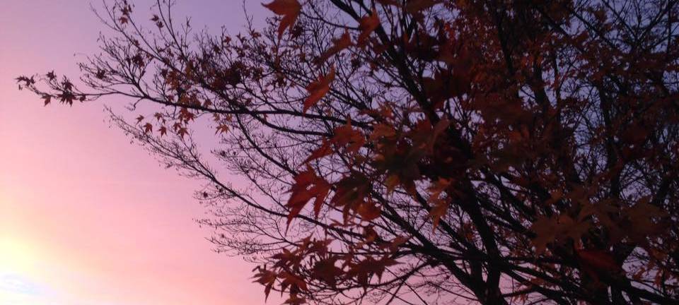 Remscheid soll grüner werden