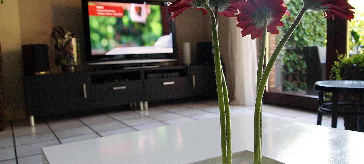 Grüne fordern mehr Sozialwohnungen für Solingen