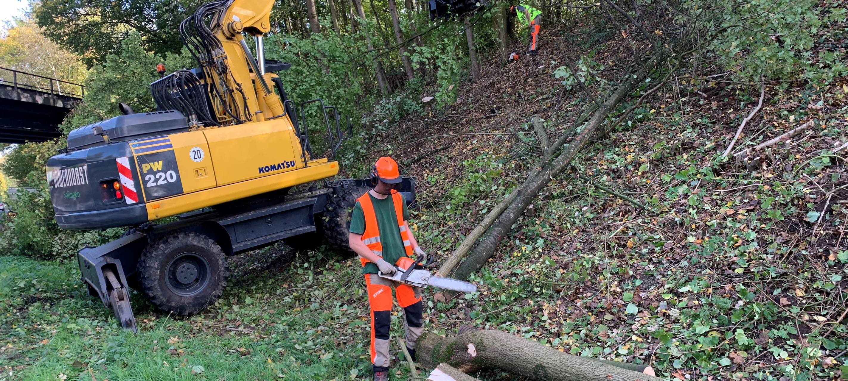 Baumfällungen auf der Morsbacher Straße