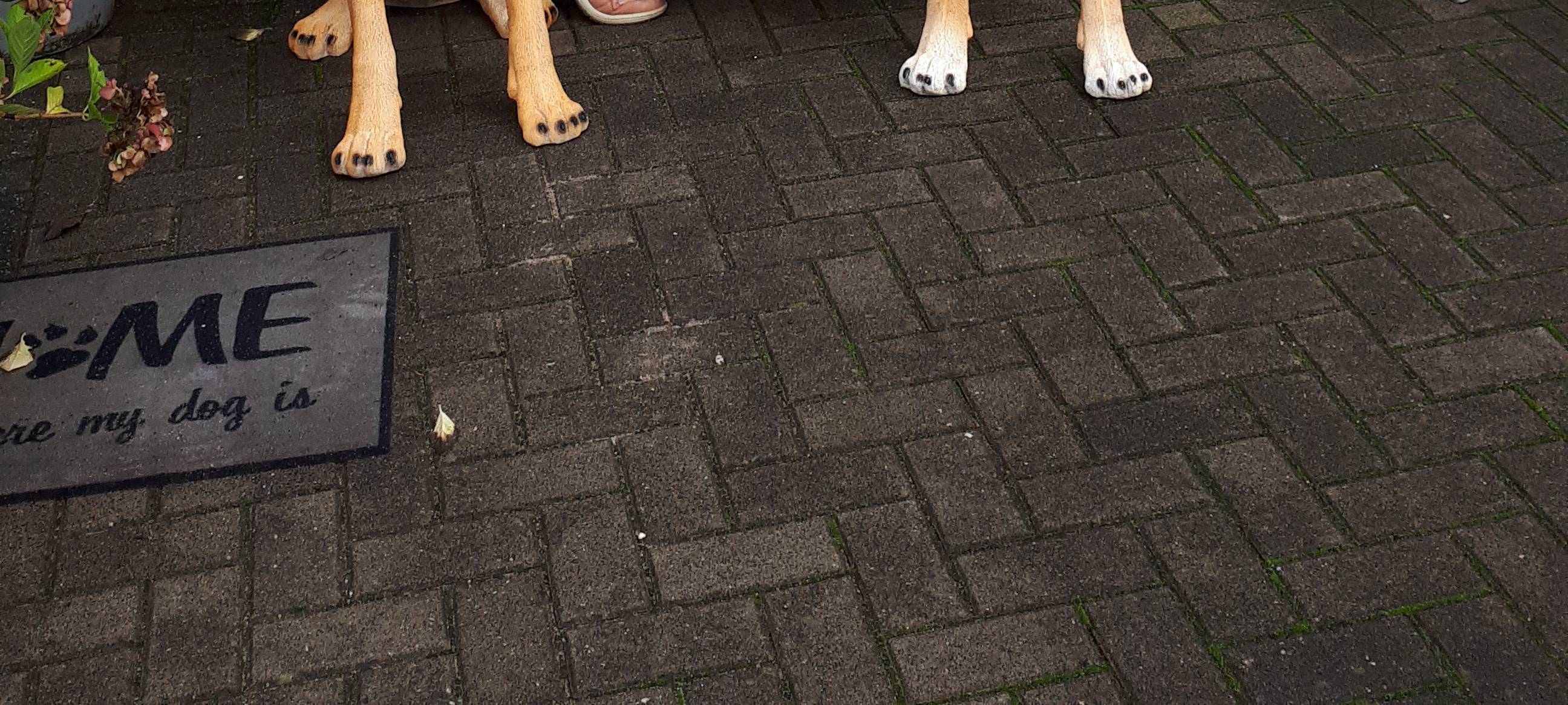 Tamy’s Pfötchen-Café in Solingen-Unterburg feiert 2-jähiges Bestehen