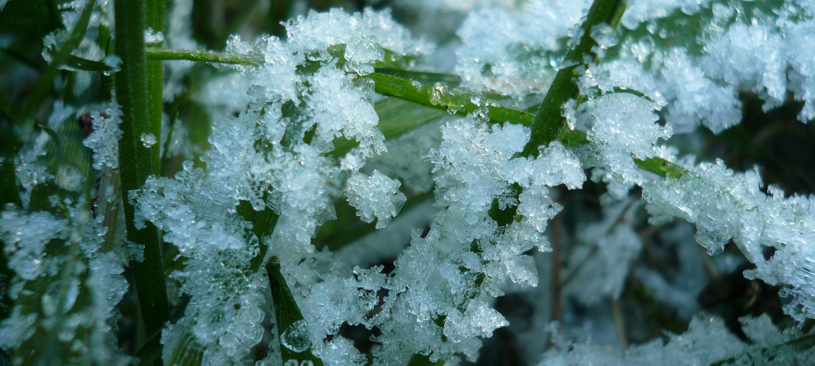 Winterdienste im RSG-Land bereiten sich vor