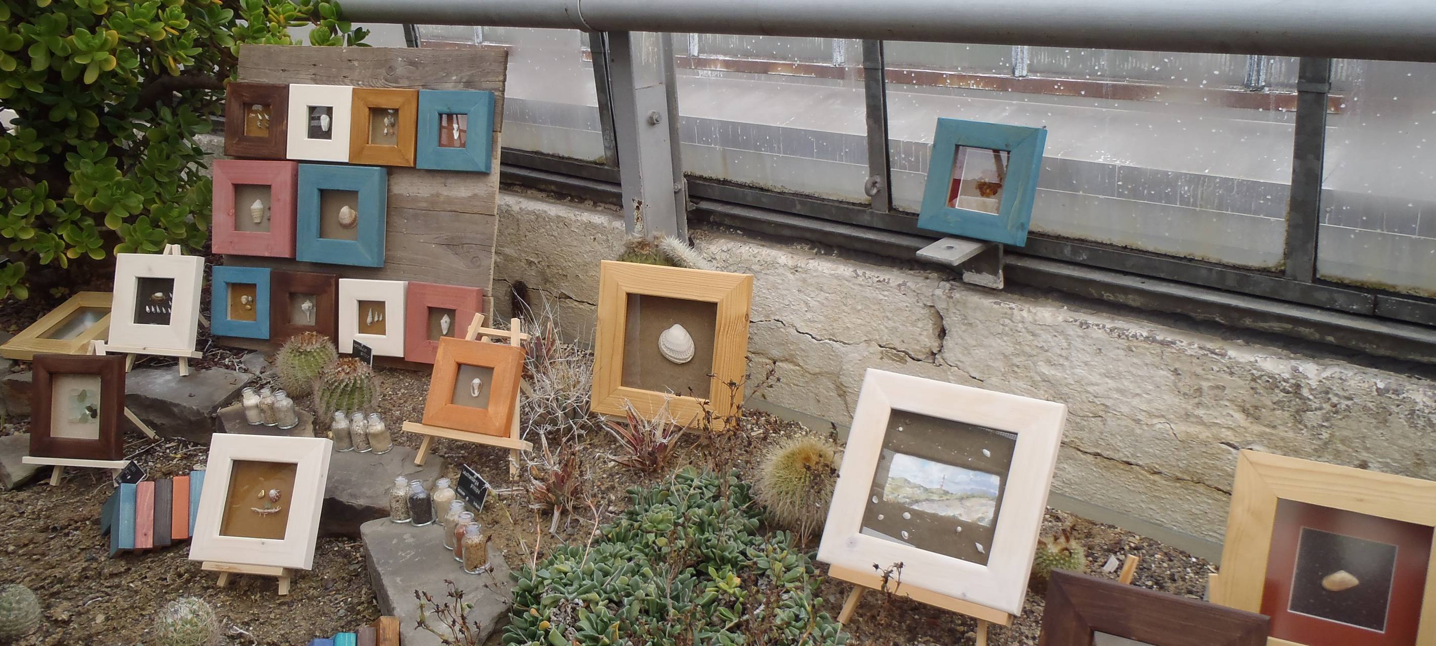 Gewächshäuser im Botanischen Garten öffnen wieder