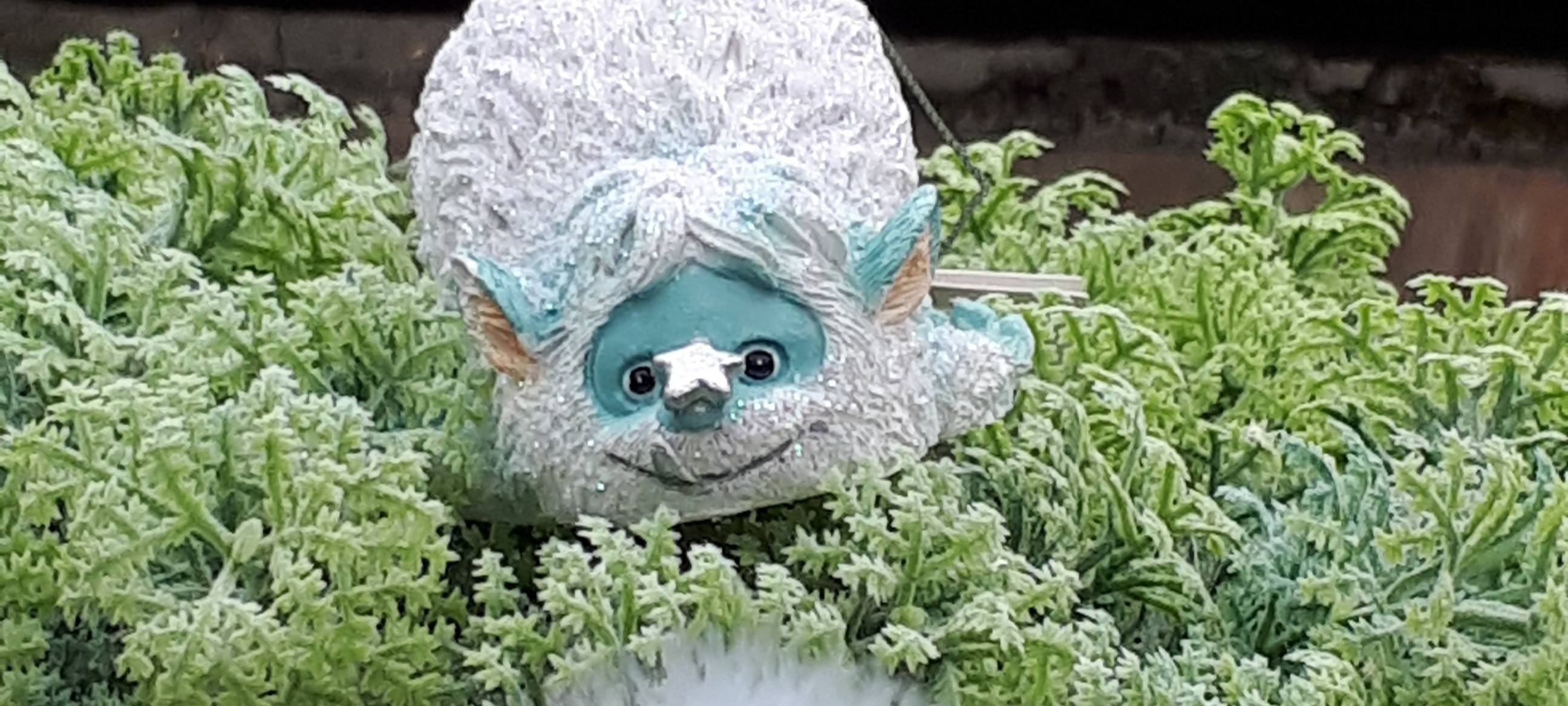 Adventsausstellung bei Blumen Ulbrich