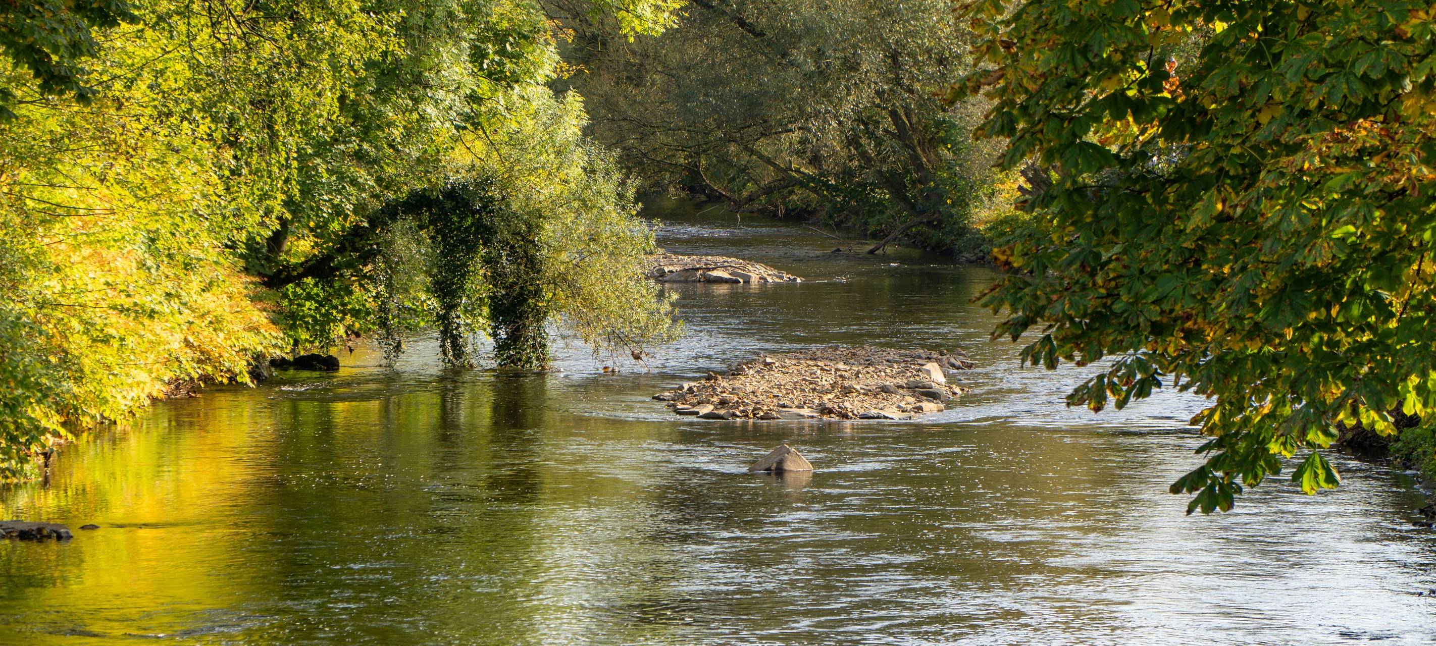 Der trockener Sommer 2019