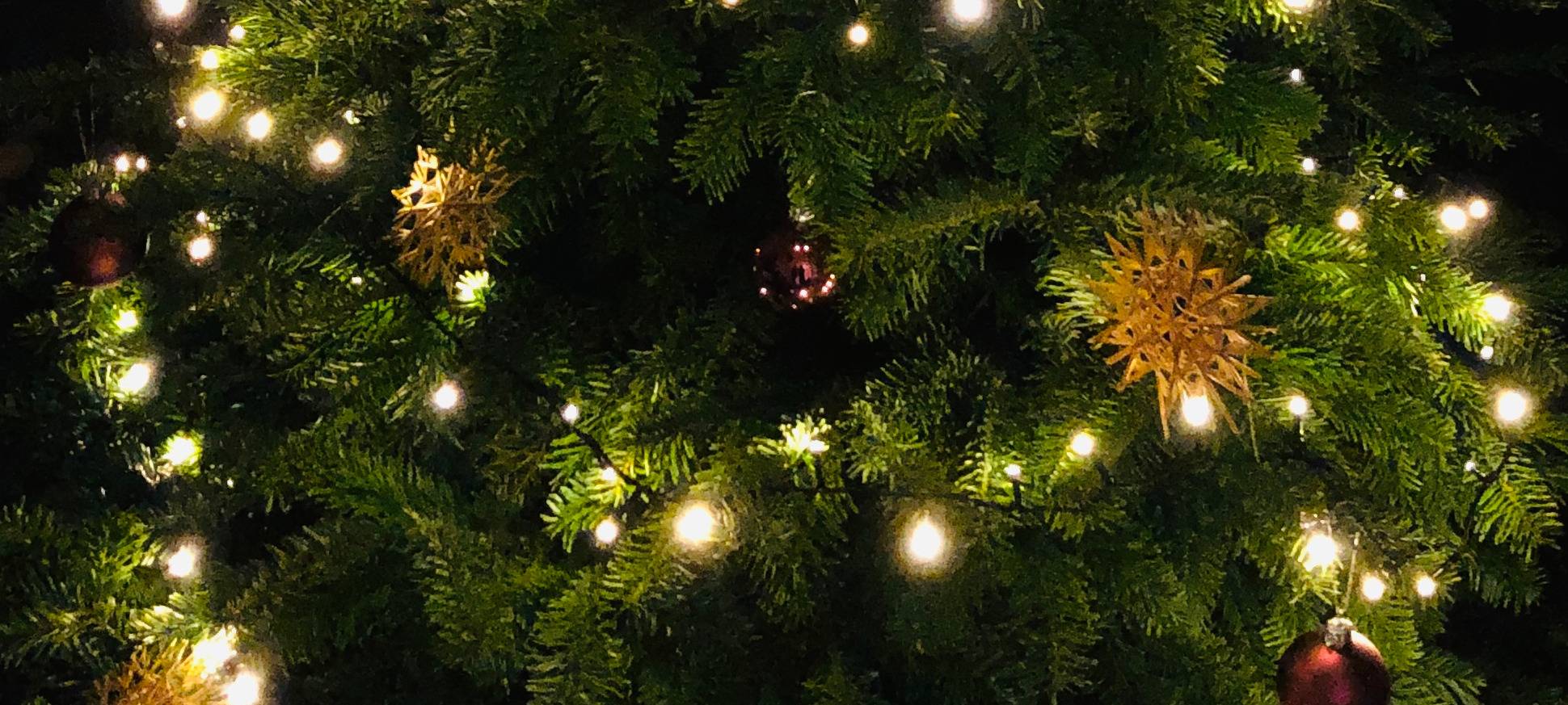 Gräfrather Waldweihnacht