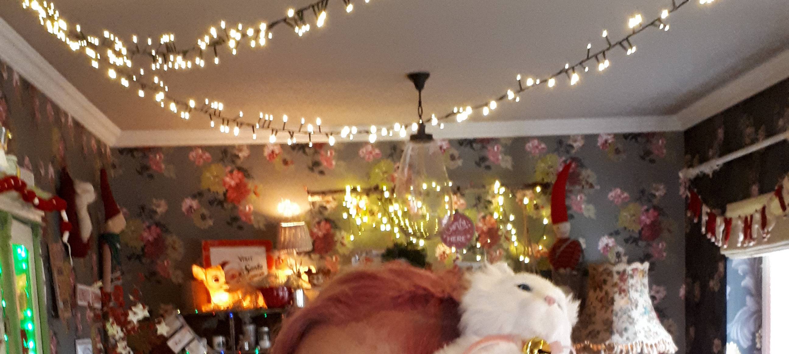 Das Weihnachtshaus von Andrea Stolzenberger