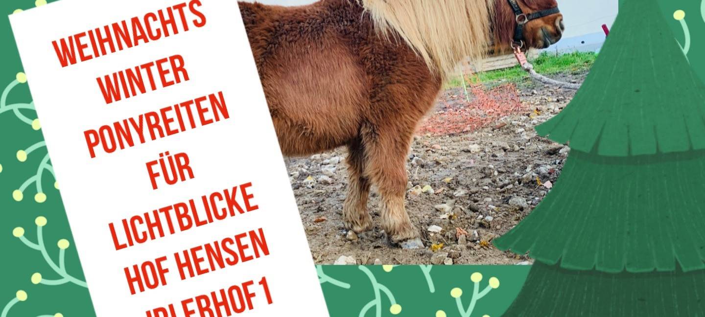 RSG Tipps für Samstag, 21. Dezember