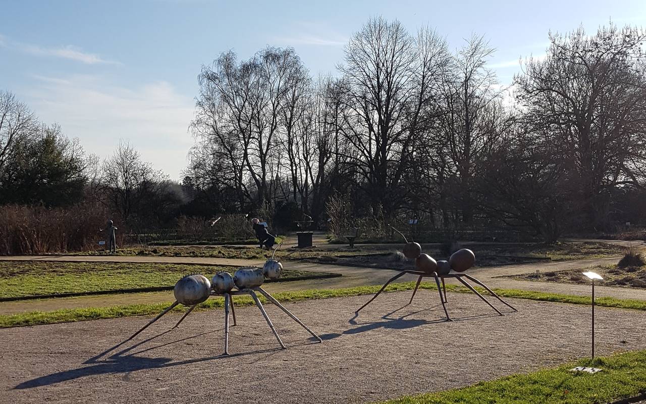 19 Millionen Euro für SolingenWald? Radio RSG