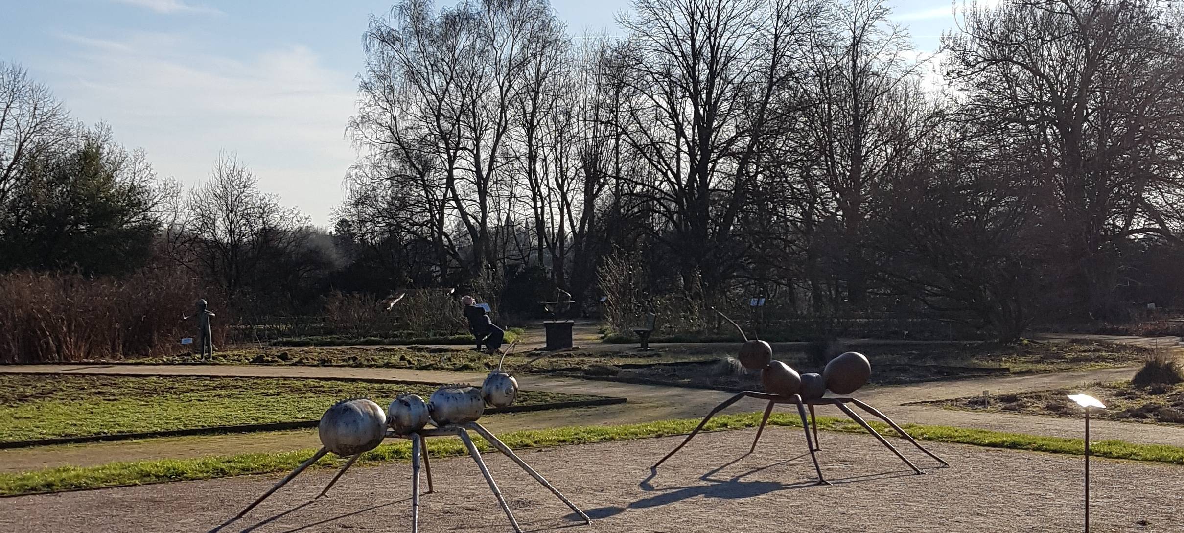 19 Millionen Euro für Solingen-Wald?