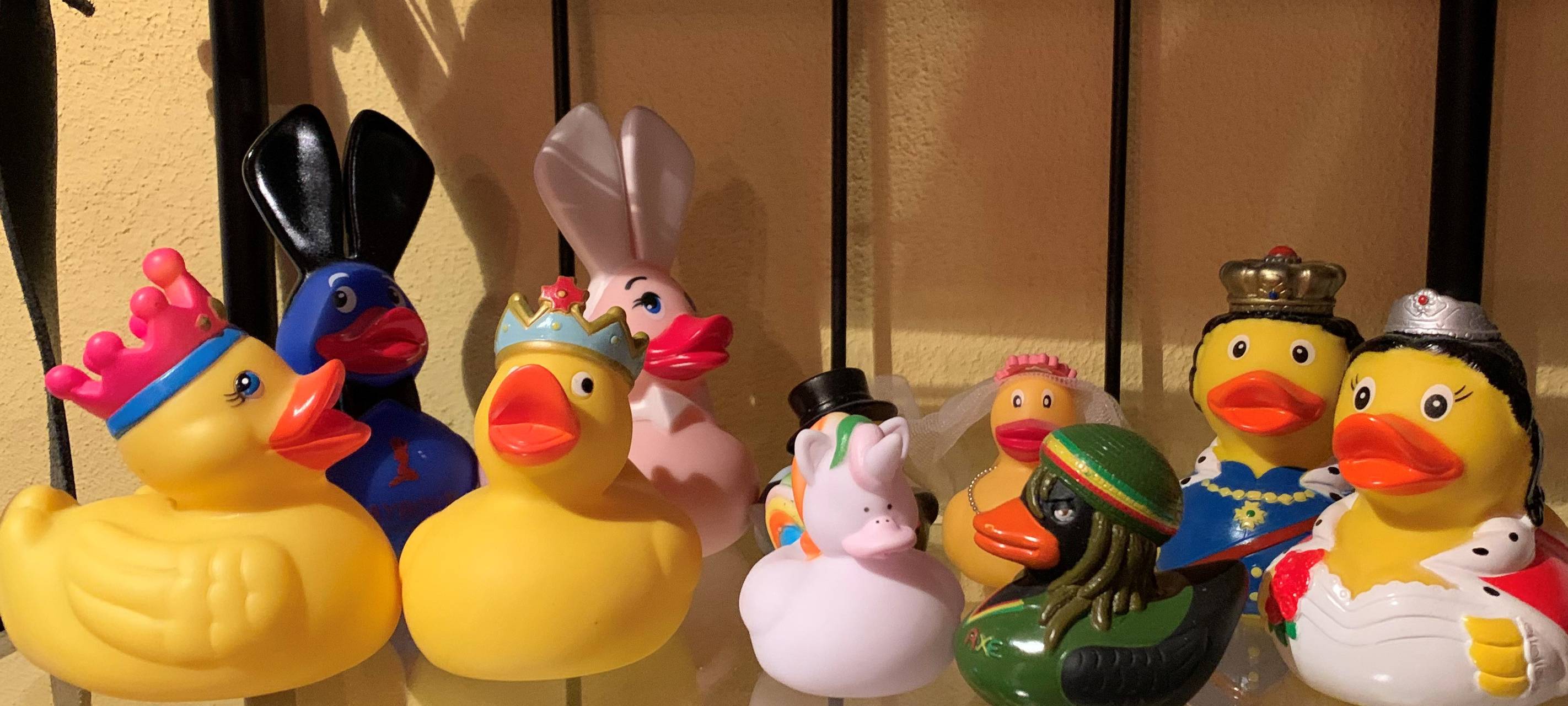 Die Quietsche-Enten von Lennep