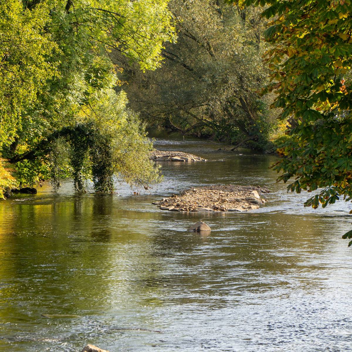 Wupper wird immer natürlicher Radio RSG