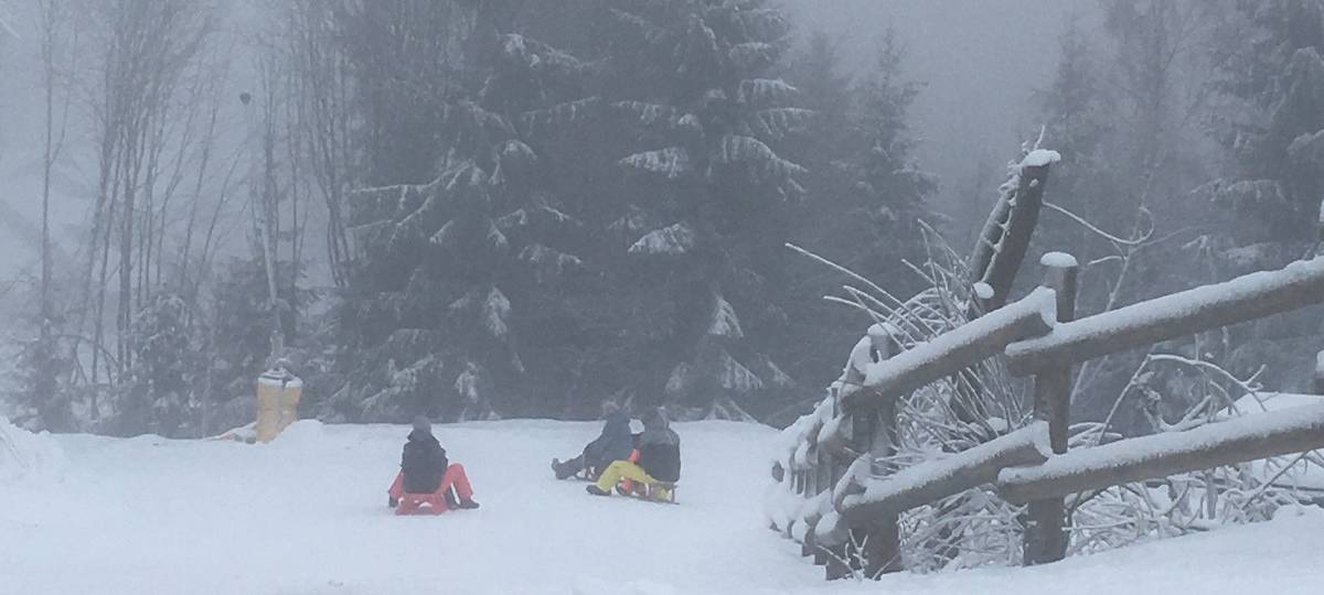Winterdienst: Das muss man machen, wenn Schnee fällt