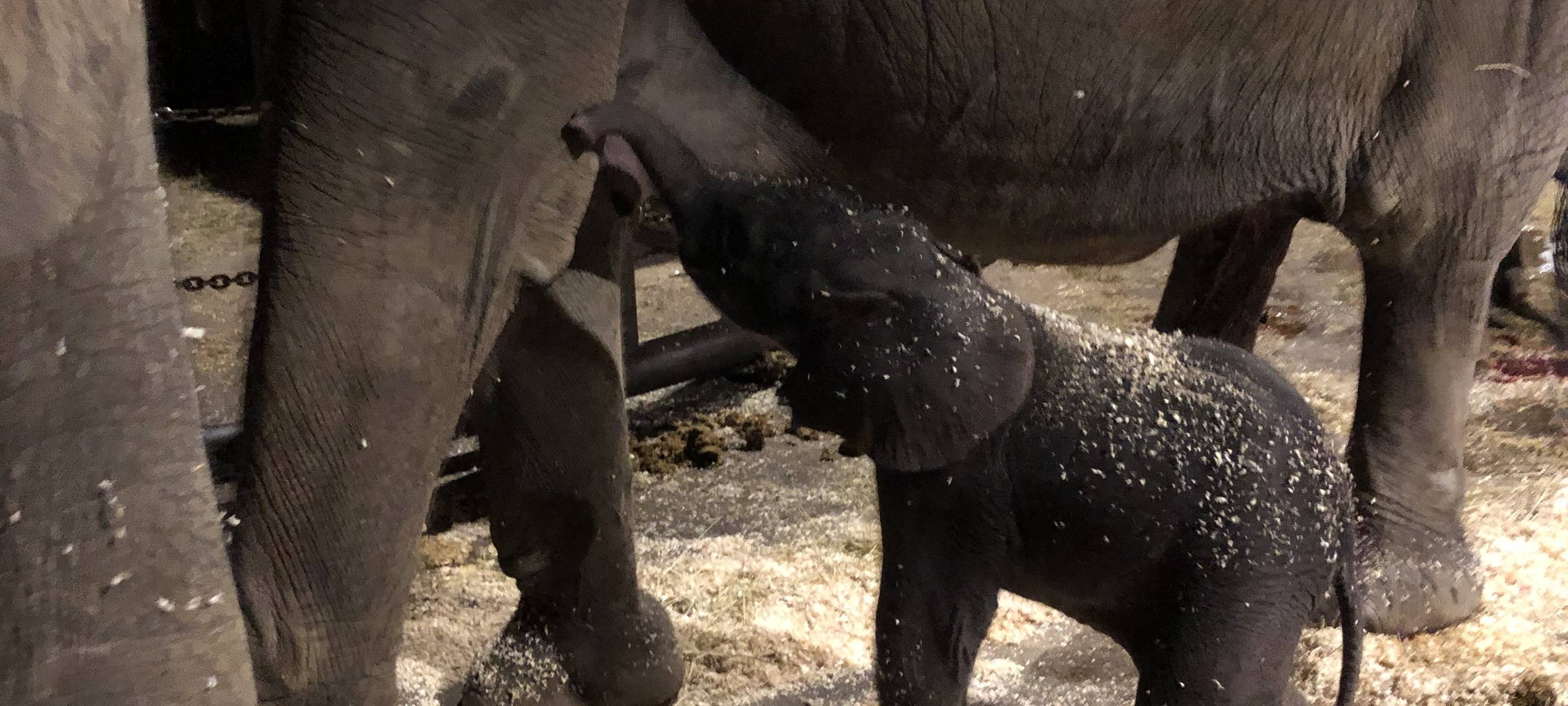 Tipps vom Dienstag, 11.10.2022