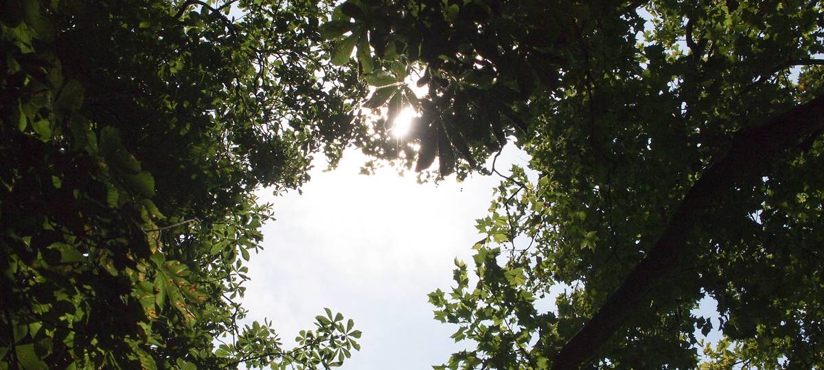Trockener April ohne Rekord