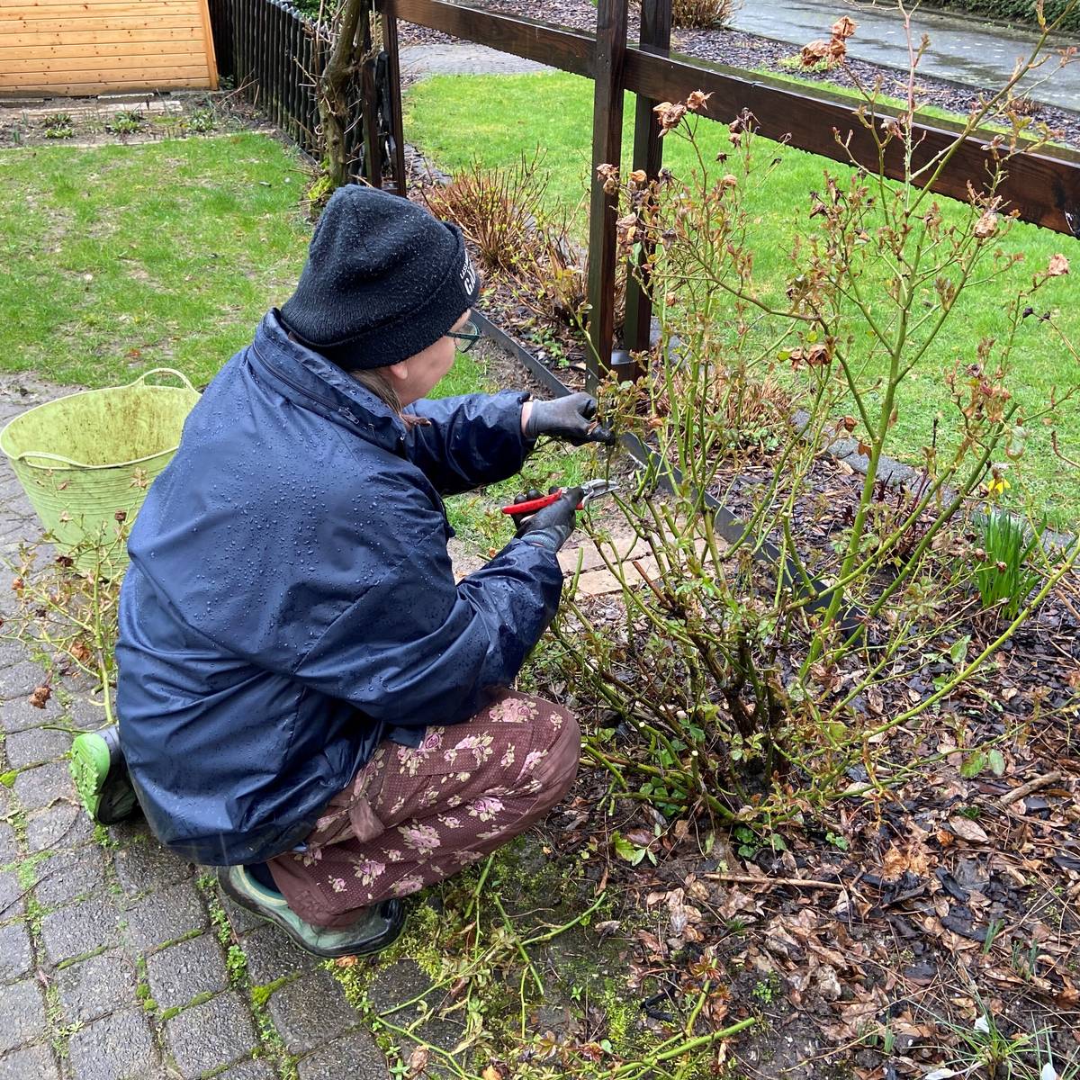 GartenExpertin gibt Tipps für Gehölzschnitt von