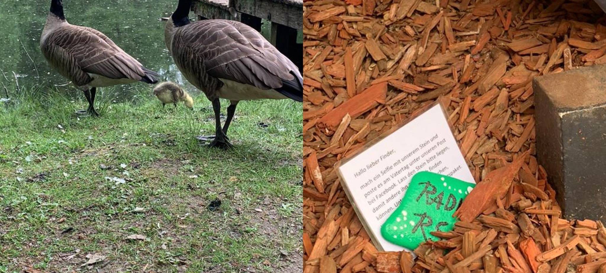 Gefunden! Ihr habt ALLE RSG-Steine entdeckt