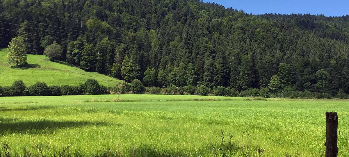 Drittes Bergisches Klimaforum