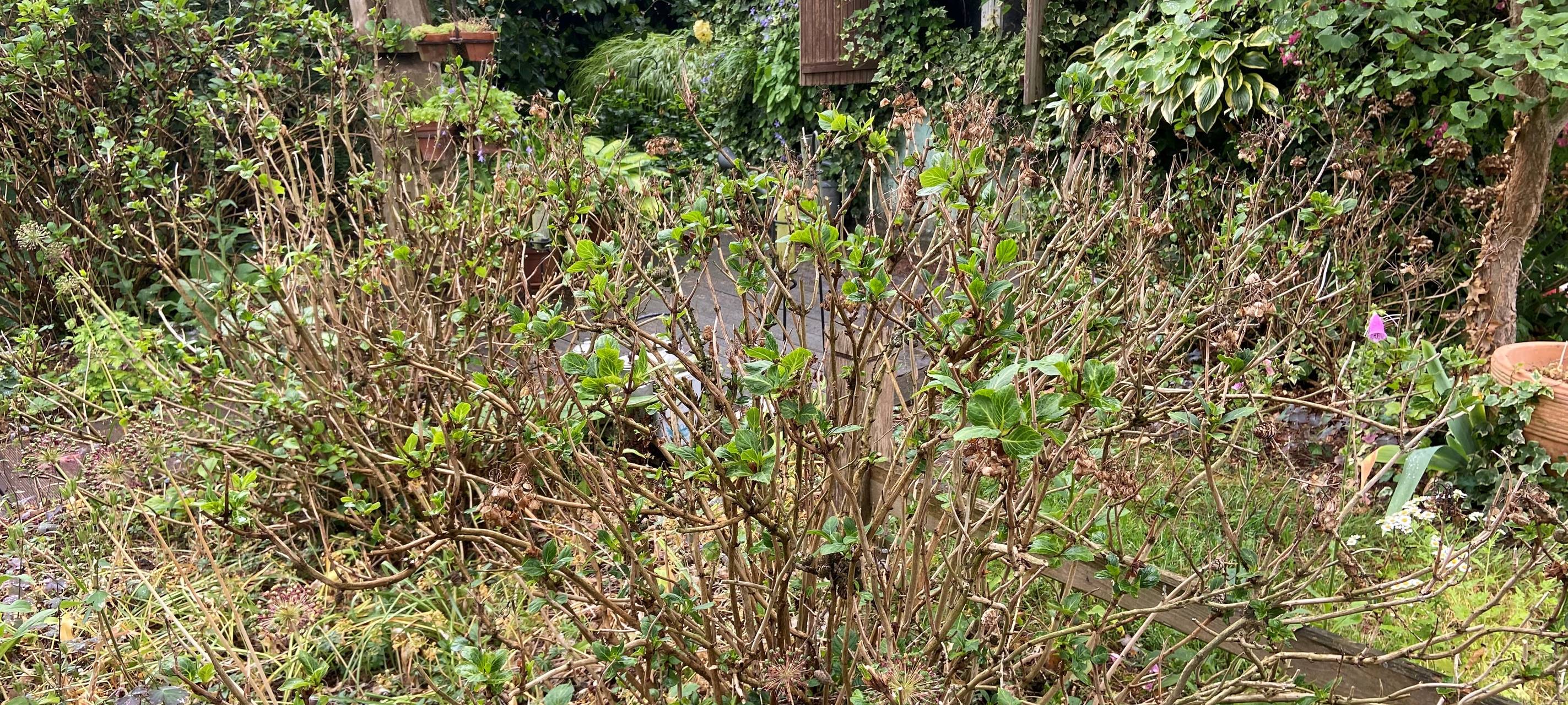 Kompost und Gartenabfälle