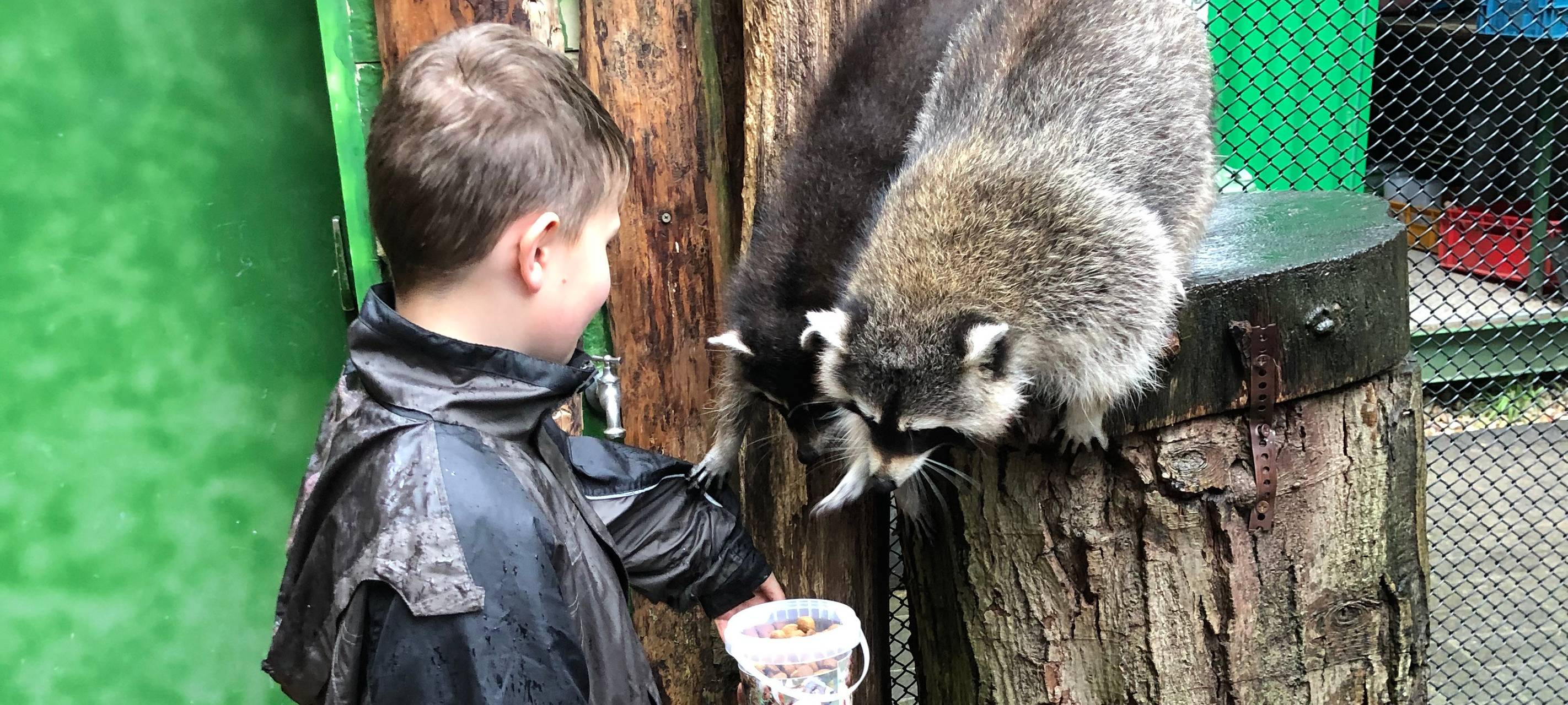 Ein Tag als Tierpfleger