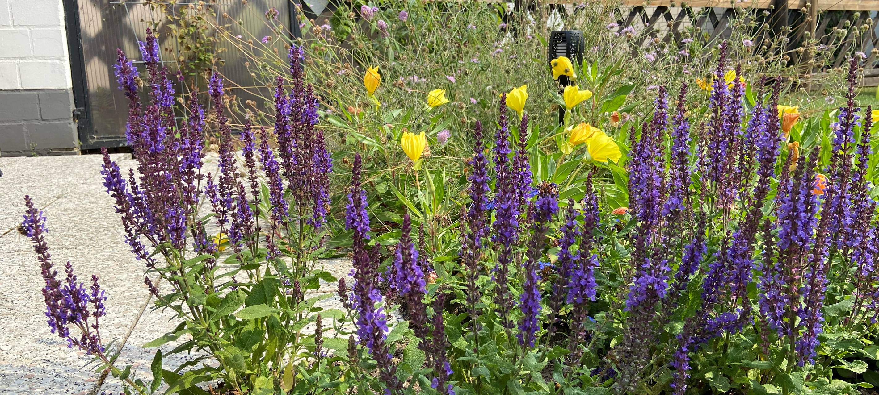 Bilanz nach zwei Jahren Gartenarbeit