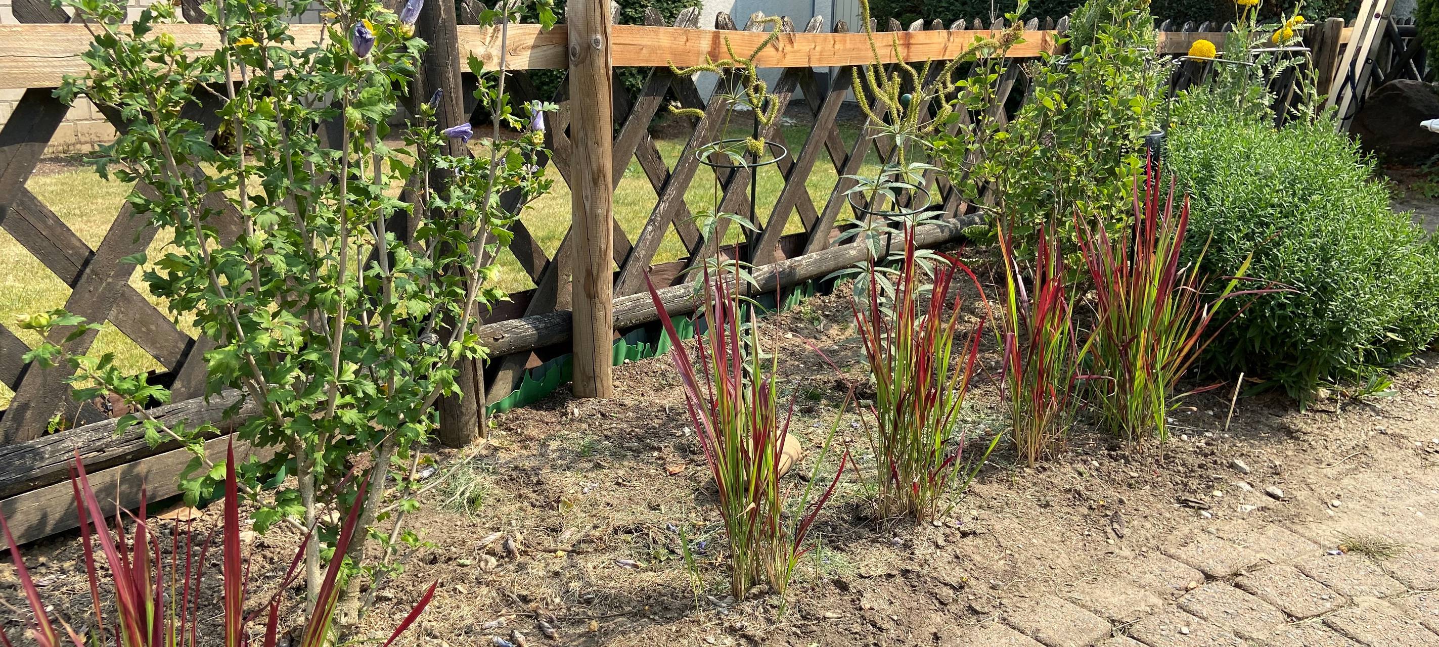 Bilanz nach zwei Jahren Gartenarbeit