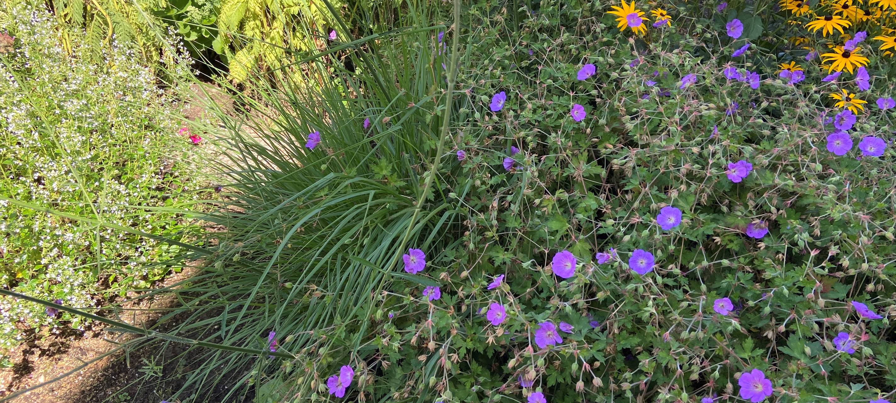 Remscheid: Gartenabfälle am Wertstoffhof abgeben