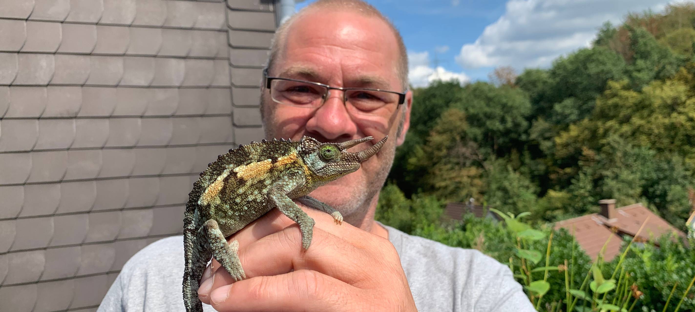 Exotische Haustiere im RSG-Land