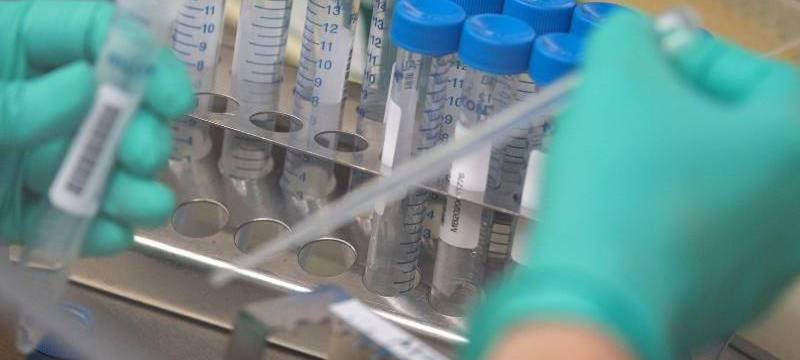 Inzidenzwerte im RSG-Land steigen weiter