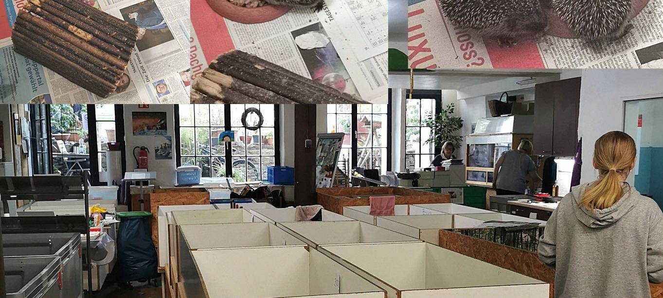 Tierschutz dank Igelkrankenhaus in Wuppertal