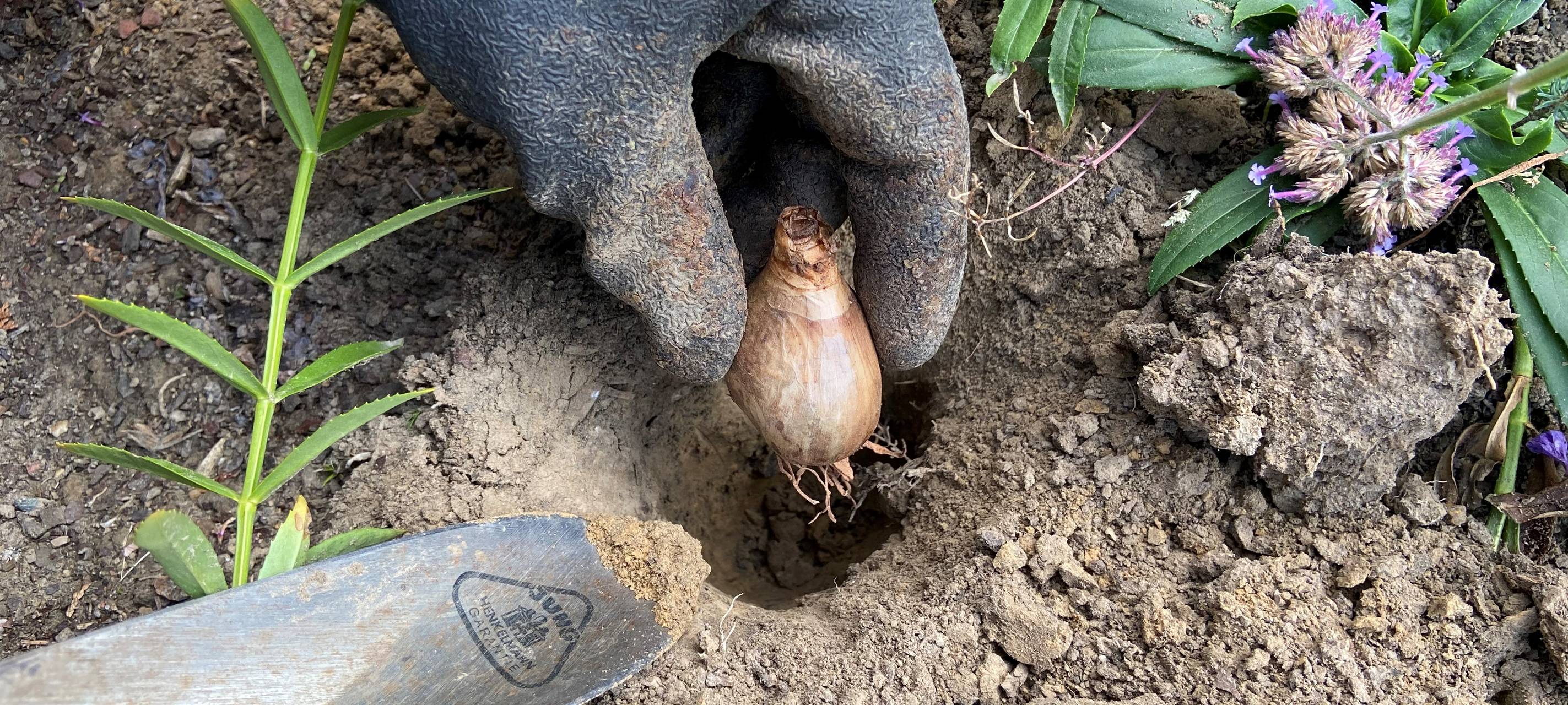 Mehr Geld für Floristen gefordert