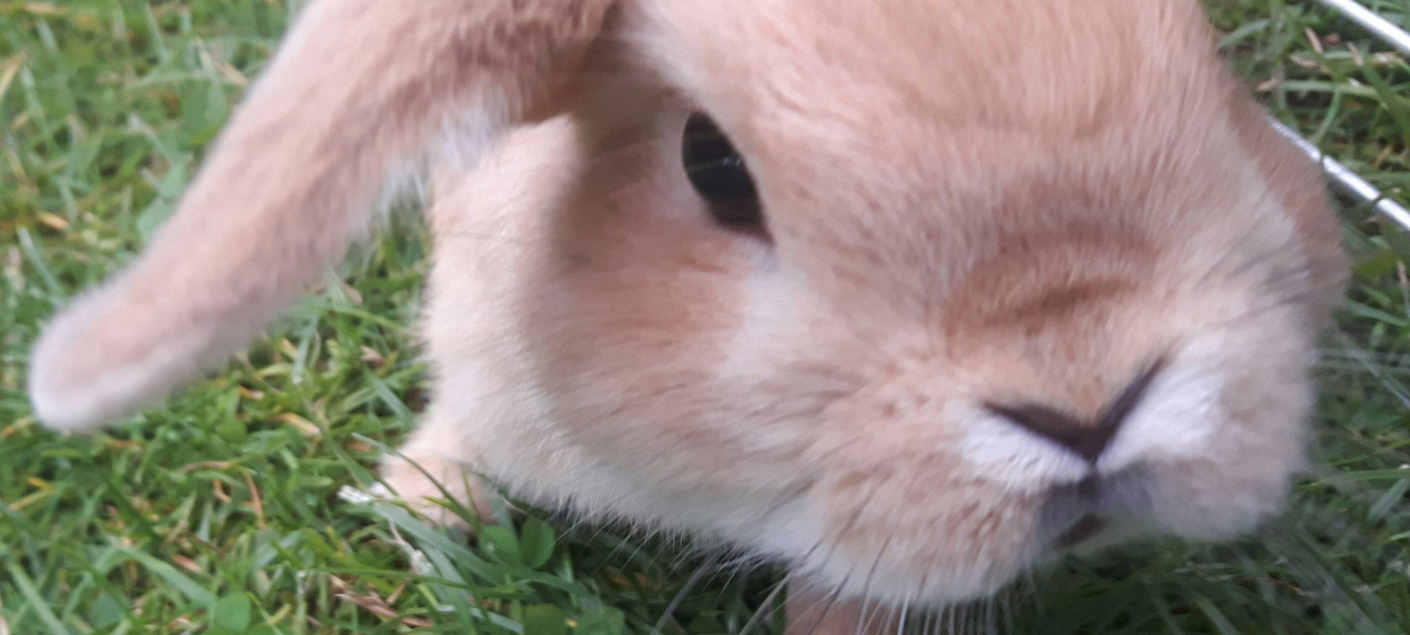 Tipps für das Osterwochenende vom 2. - 6. April