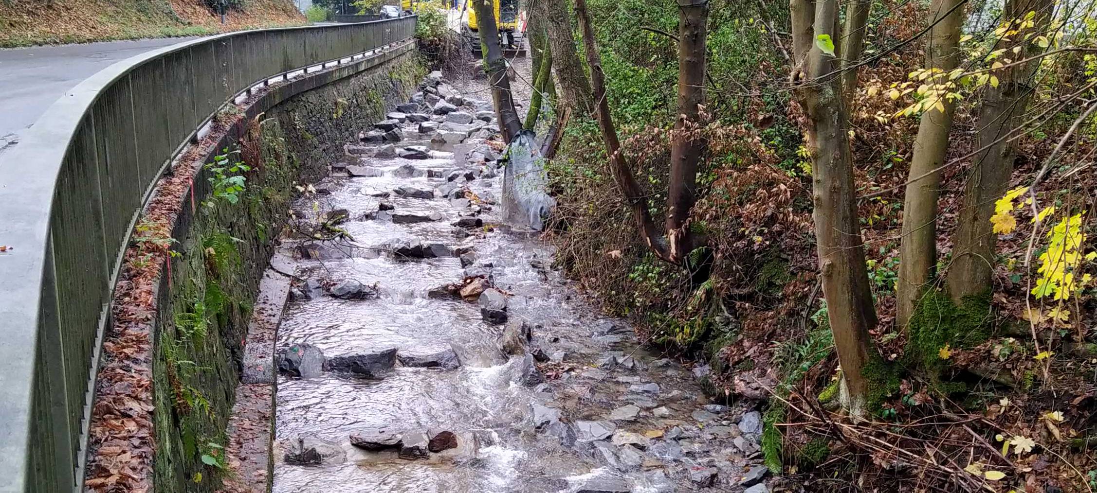 Fischaufstieg im Eschbach